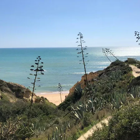 T2 Near The C225 Casa de Férias Porches (Algarve)